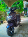 Green tiger gt vive-x